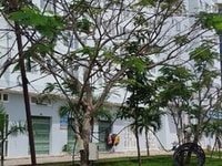 Bán Nhà ở Xã Hội huyện Nhơn Trạch Đồng Nai 52m2, 2PN Bán Nhà ở Xã Hội huyện Nhơn Trạch Đồng Nai 52m2, 2PN