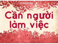Cộng Tác Hỗ Trợ Phòng Kinh Doanh Cộng Tác Hỗ Trợ Phòng Kinh Doanh