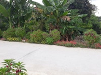 Bán đất mặt tiền lộ nông thôn 4m và sông thoáng mát giá rẻ. Cách quốc Bán đất mặt tiền lộ nông thôn 4m và sông thoáng mát giá rẻ. Cách quốc