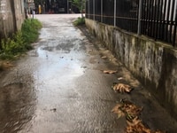 Chính chủ kẹt tiền hạ giá bán gấp lô đất trong mấy ngày.đường ô tô Chính chủ kẹt tiền hạ giá bán gấp lô đất trong mấy ngày.đường ô tô