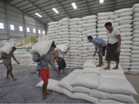 Tuyển 6 nv nam chuyên trở Gạo khắp Hà nội bao từ a-z lương 7-12 triệu Tuyển 6 nv nam chuyên trở Gạo khắp Hà nội bao từ a-z lương 7-12 triệu