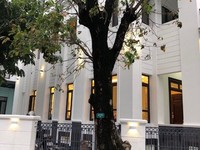 Bán gấp đi định cư căn Vinhomes Central Park 337m2 đơn lập 98 tỷ Bán gấp đi định cư căn Vinhomes Central Park 337m2 đơn lập 98 tỷ