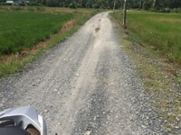Bán đất 1.000m2 Tân Nhựt, Bình Chánh. Gần BV Nhi Đồng Bán đất 1.000m2 Tân Nhựt, Bình Chánh. Gần BV Nhi Đồng