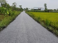 Bán đất 2428m2, Tân trung, thị xã gò công, tiền giang giá 4,856 tỷ Phi Bán đất 2428m2, Tân trung, thị xã gò công, tiền giang giá 4,856 tỷ Phi