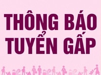 Salon tóc Minh Giang cần tuyển 2 nữ thợ phụ gội sấy thành thạo Salon tóc Minh Giang cần tuyển 2 nữ thợ phụ gội sấy thành thạo