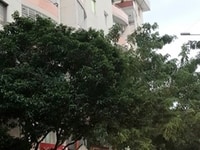 Chính Chủ Bán Gấp Căn Hộ Nhiêu Tứ, Phan Xích Long, 61m2, 2pn Chính Chủ Bán Gấp Căn Hộ Nhiêu Tứ, Phan Xích Long, 61m2, 2pn
