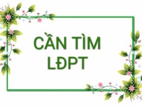 Chi nhánh mới mở cần tuyển 3 bạn bán hàng Chi nhánh mới mở cần tuyển 3 bạn bán hàng