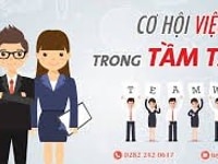 Cần tuyển 3 nhân viên kinh doanh Cần tuyển 3 nhân viên kinh doanh