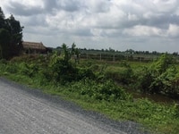 Cần bán đất 1.000m2 mặt tiền kênh 11, Tân Nhựt, Bình Chánh. Cần bán đất 1.000m2 mặt tiền kênh 11, Tân Nhựt, Bình Chánh.