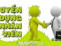 Cửa hàng cần gấp 3 bạn phụ bán hàng tại quầy Cửa hàng cần gấp 3 bạn phụ bán hàng tại quầy