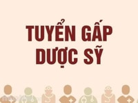 Tuyển nhân viên văn phòng hành chính nhân sự Tuyển nhân viên văn phòng hành chính nhân sự
