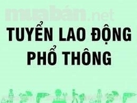 Tuyển 7 nam nữ lao động phổ thông Tuyển 7 nam nữ lao động phổ thông