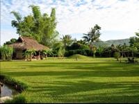 Đất Bình Chánh giá rẻ:Cần bán 3.000m2 , Lê Minh Xuân, Bình Chánh Đất Bình Chánh giá rẻ:Cần bán 3.000m2 , Lê Minh Xuân, Bình Chánh