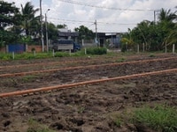 Cần bán gấp đất nền thổ cư Bình Chánh giá rẻ Cần bán gấp đất nền thổ cư Bình Chánh giá rẻ