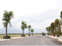1000m2 đất cần bán gấp do chuyển nhà 1000m2 đất cần bán gấp do chuyển nhà