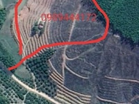 Bán đất nông nghiệp tặng nhà tại Yên Định, Sơn Động, Bắc Giang Bán đất nông nghiệp tặng nhà tại Yên Định, Sơn Động, Bắc Giang