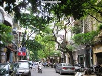 Cho thuê nhà phố Kim Ngưu, DT : 50m2 x 2T, MT : 4,5m, giá 6tr/th Cho thuê nhà phố Kim Ngưu, DT : 50m2 x 2T, MT : 4,5m, giá 6tr/th