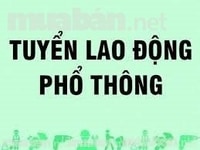 Tuyển 6 nữ lao động phổ thông Tuyển 6 nữ lao động phổ thông