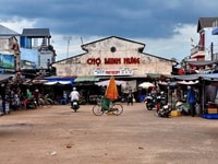 Bán gấp sào đất 1000m vuông, ngay cạnh KCN Hàn Quốc, giá thương lượng Bán gấp sào đất 1000m vuông, ngay cạnh KCN Hàn Quốc, giá thương lượng