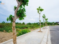 Đất Xanh mở bán đất nền dự án Venus Gardenia, ven biển Quảng Bình Đất Xanh mở bán đất nền dự án Venus Gardenia, ven biển Quảng Bình