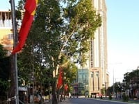 Cần cho thuê nhà mặt tiền đường trần văn hoài, đối diện vincom xuân kh Cần cho thuê nhà mặt tiền đường trần văn hoài, đối diện vincom xuân kh