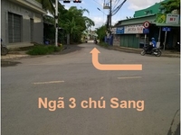 Bán 2631m2 đất thổ vườn giá rẻ đang trồng dừa ở Hòa Định, Chợ Gạo Bán 2631m2 đất thổ vườn giá rẻ đang trồng dừa ở Hòa Định, Chợ Gạo