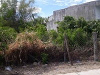 Bán lô đất mặt tiền 420m2, Phước An, Tuy Phước, tỉnh Bình Định Bán lô đất mặt tiền 420m2, Phước An, Tuy Phước, tỉnh Bình Định