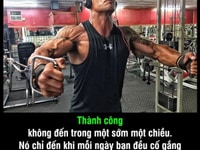 Cửa hàng tạp hoá tiêu dùng chuyên sỉ cần tuyển gấp nhân viên bán hàng Cửa hàng tạp hoá tiêu dùng chuyên sỉ cần tuyển gấp nhân viên bán hàng