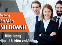 Tuyển gấp 3 nhân viên kinh doanh Tuyển gấp 3 nhân viên kinh doanh