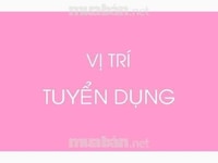 Cần tuyển gấp 02 nhân viên kế toán và thu ngân Cần tuyển gấp 02 nhân viên kế toán và thu ngân