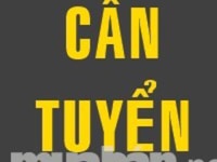 Tuyển nhân viên nam nữ trực tiếp Tuyển nhân viên nam nữ trực tiếp