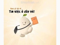 Tuyển nhân viên làm việc theo ca hoặc giờ hành chính Tuyển nhân viên làm việc theo ca hoặc giờ hành chính