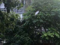 Cho thuê nhà ngõ 8 mạc thái tổ 51m2 x 4 tầng, oto đỗ cửa làm vp và kho Cho thuê nhà ngõ 8 mạc thái tổ 51m2 x 4 tầng, oto đỗ cửa làm vp và kho