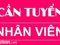 Lao đông phổ thông trên 18 tuổi Lao đông phổ thông trên 18 tuổi