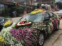 Chuyên cho thuê xe ôtô, có lái 4-7 chỗ và tài xế Chuyên cho thuê xe ôtô, có lái 4-7 chỗ và tài xế