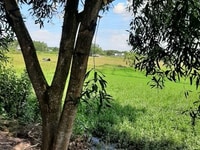 Hiện tôi đang cần tiền cần bán gấp lô đất 2200m2 CLN có 300m2 thổ cư. Hiện tôi đang cần tiền cần bán gấp lô đất 2200m2 CLN có 300m2 thổ cư.