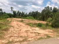 1288m2 Đất ngay mặt tiền 839 giá 89tr mét ngang 1288m2 Đất ngay mặt tiền 839 giá 89tr mét ngang
