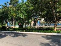 Đất nền khu dân cư Ngân Thuận Stella Mega City Cần Thơ Đất nền khu dân cư Ngân Thuận Stella Mega City Cần Thơ