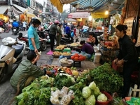 5 Lô Đất Ngay Cổng Chợ Thổ Cư 100% 5 Lô Đất Ngay Cổng Chợ Thổ Cư 100%