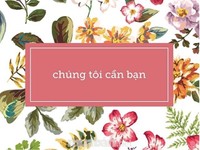 Tuyển nhân viên nam nữ tư vấn chăm sóc khách hàng tại cửa hàn Tuyển nhân viên nam nữ tư vấn chăm sóc khách hàng tại cửa hàn