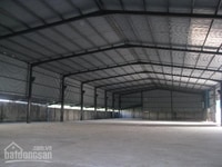 Cho thuê nhà xưởng MT đường TX 21 ( 30m x 55m ) 1600m2, cao thoáng Cho thuê nhà xưởng MT đường TX 21 ( 30m x 55m ) 1600m2, cao thoáng