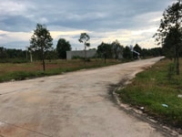 Bán đất ngay khu tái định cư Becamex 1000m2 giá chỉ 500tr SỔ SẴN Bán đất ngay khu tái định cư Becamex 1000m2 giá chỉ 500tr SỔ SẴN