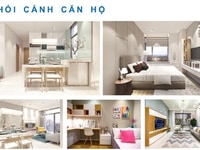 Căn hộ Tạ Quang bửu quận 8 2,8 tỷ/căn Nhà mới 6 tầng thương mại đã có Căn hộ Tạ Quang bửu quận 8 2,8 tỷ/căn Nhà mới 6 tầng thương mại đã có