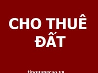 Cho thuê đất mặt tiền đường Trần Đại Nghĩa, P.Hòa Hải, Q.Ngũ Hành Sơn Cho thuê đất mặt tiền đường Trần Đại Nghĩa, P.Hòa Hải, Q.Ngũ Hành Sơn