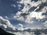 caanfn người giupsd việc nhà báo ăn ở tại chỗ caanfn người giupsd việc nhà báo ăn ở tại chỗ