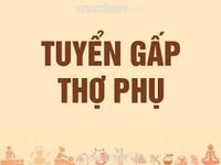 Tuyển 1 nữ thợ phụ làm tóc, biết gội sấy, làm tại phố quận Đống Đa Tuyển 1 nữ thợ phụ làm tóc, biết gội sấy, làm tại phố quận Đống Đa