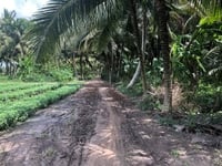 Bán 1790m đất thuộc xã thạnh phú huyện châu thành TG Bán 1790m đất thuộc xã thạnh phú huyện châu thành TG