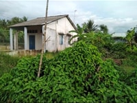Bán đất nền gần khu KCN Long Hậu - Hòa Bình Thủ Thừa-Long An. Bán đất nền gần khu KCN Long Hậu - Hòa Bình Thủ Thừa-Long An.