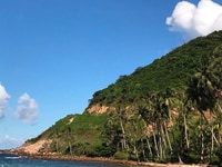 Cần người làm việc nhà , biết nấu ăn cho gia đình Cần người làm việc nhà , biết nấu ăn cho gia đình