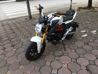 Ducati Augusta Mini 219 Đen Nguyên Bản máy bốc êm Ducati Augusta Mini 219 Đen Nguyên Bản máy bốc êm